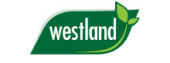  Westland