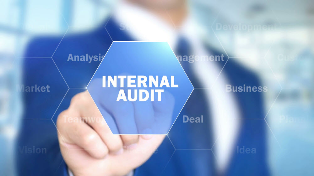 Using Internal Audit Consulting Services For Your Organisation