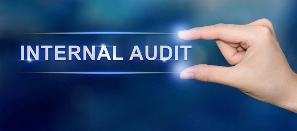 How To Setup Your Internal Audit Function
