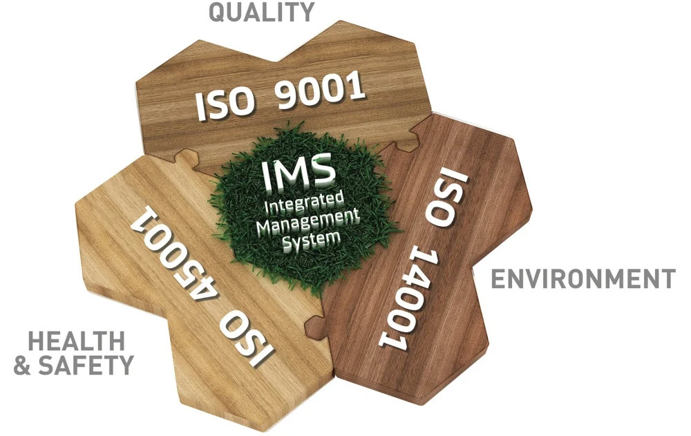 Converting an EMS to IMS