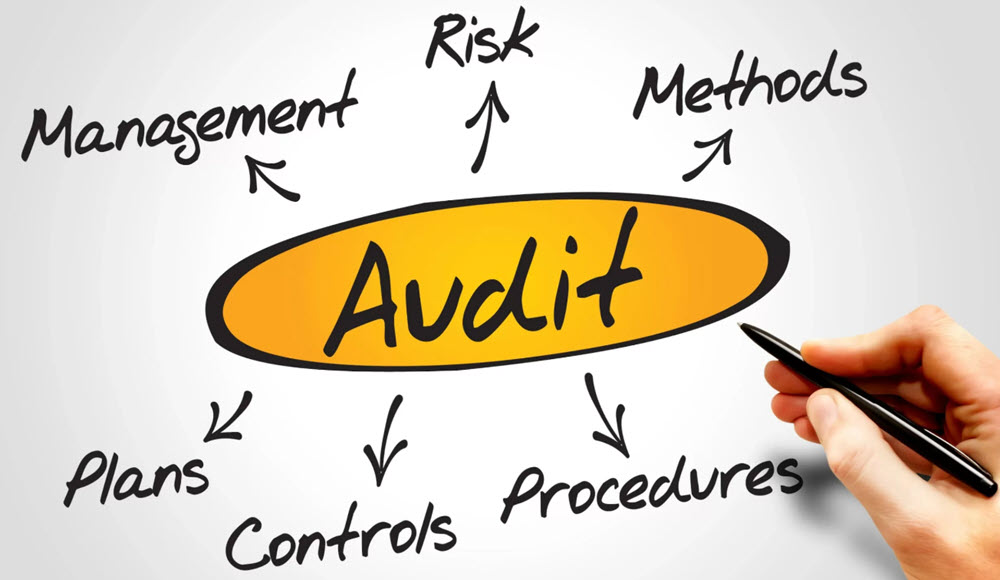 What is the Purpose of Auditing